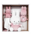 Defina o presente Tiamo-Miffy