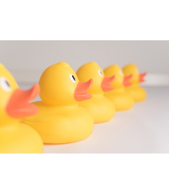 Comprar Pato grande baño Olmitos a preço de oferta