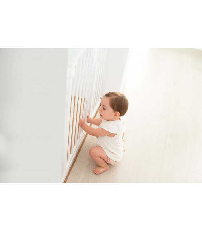 Comprar Porta de Segurança Olmitos a preço de oferta