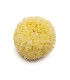 Natural marine sponge Olmitos