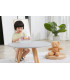 Heladera de madera PolarB | soporte cinco polos y conos tonos pasteles