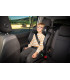 Seatcar Airon Niu