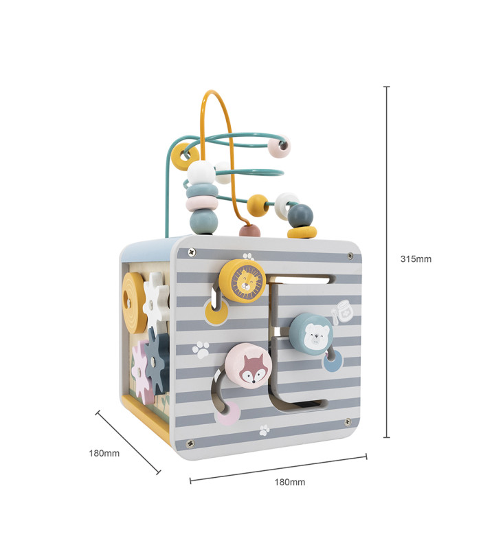 5 in 1 activity box PolarB