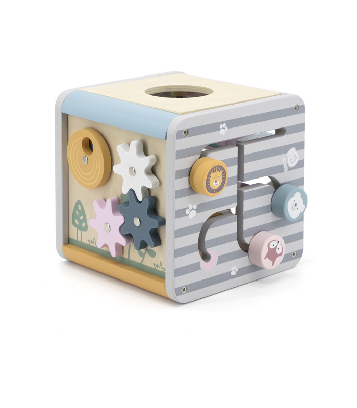 5 in 1 activity box PolarB