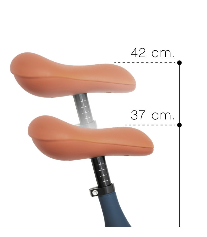 Comprar Bicicleta equilibrio Speed-up Olmitos a preço de oferta