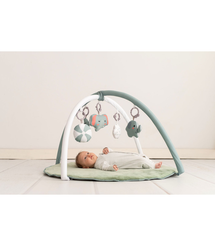 Activity Mat Olmitos