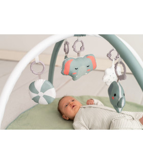 Activity Mat Olmitos