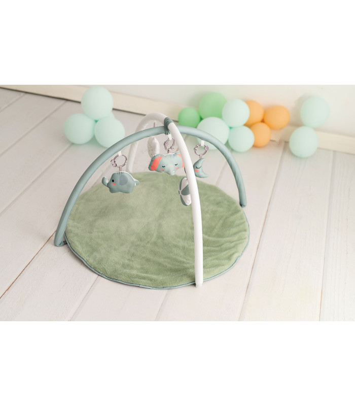 Activity Mat Olmitos