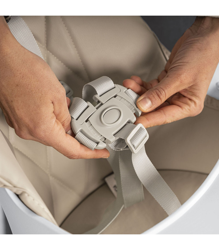 Trona 2 em 1 Kombo Olmitos