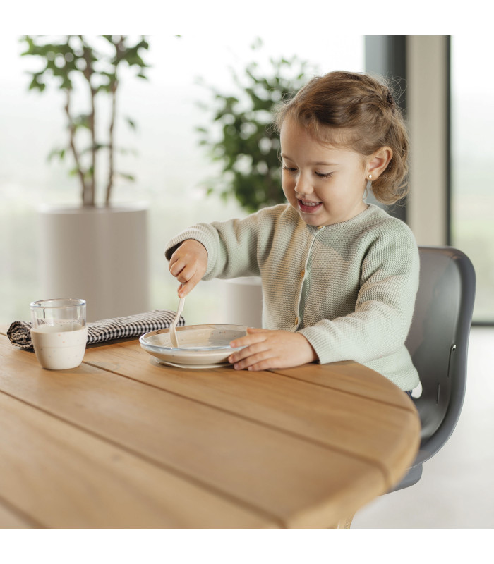 Hamaca + 4-in-1 Aura high chair by Niu | 60 kg resistance and curved base