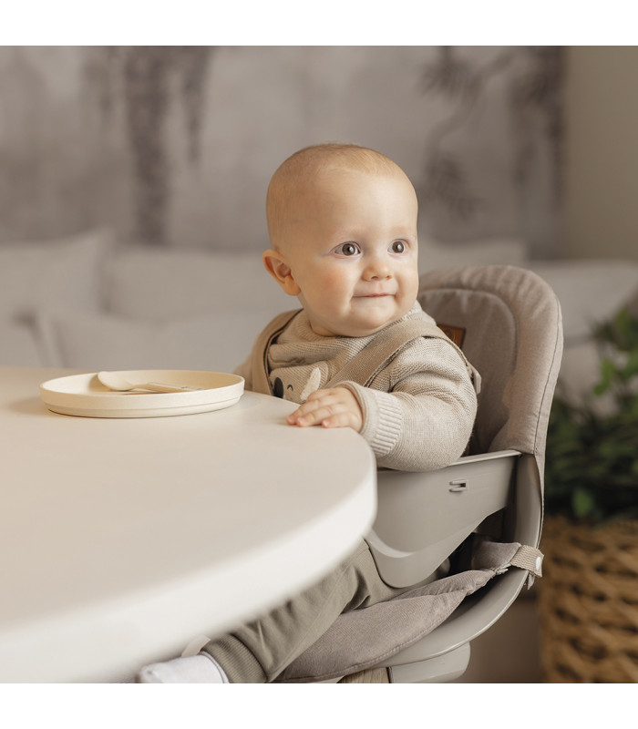 Aura 4-in-1 Hammock + High Chair Niu