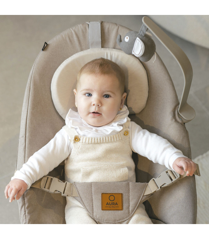 Hamaca + trona 4 en 1 Aura de Niu | Resistencia 60 kg y base curva