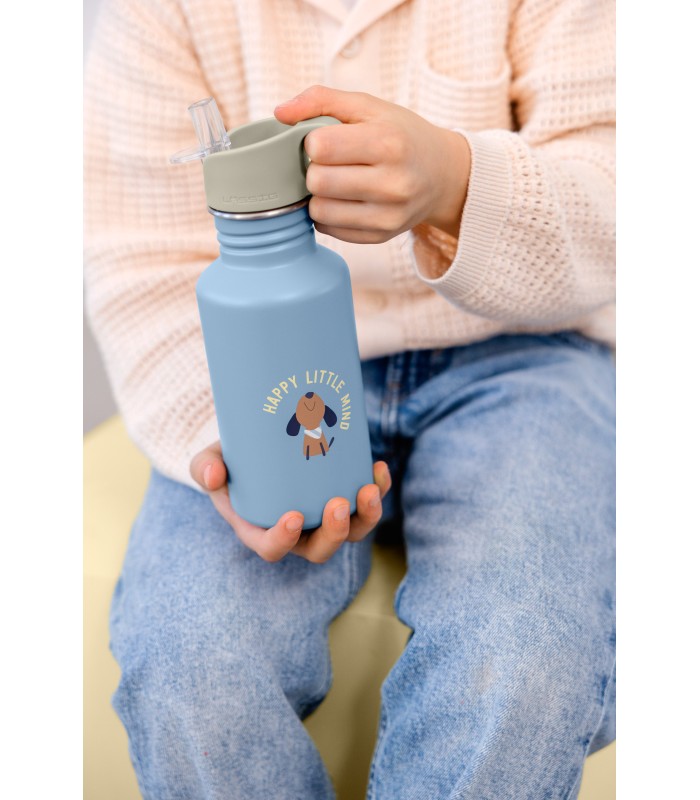 Stainless steel bottle Lässig