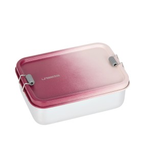 Stainless Steel Lunch Box Lässig | Two-tone Lid and Clips