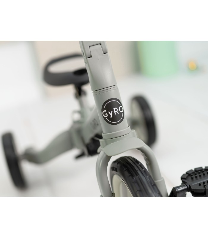 Tricycle Gyro