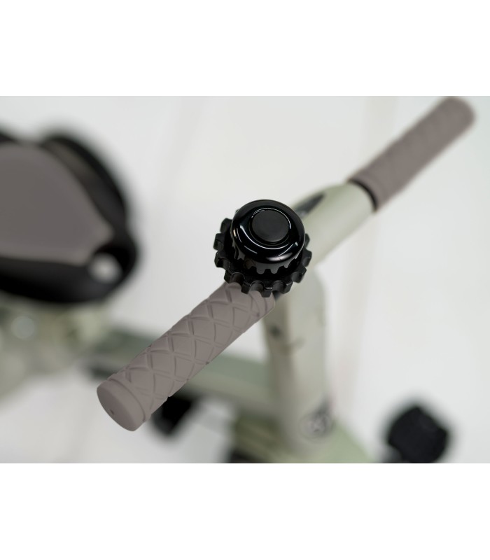 Triciclo Gyro