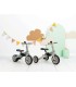 Tricycle Gyro