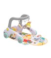 Gimnasio 6 en 1
